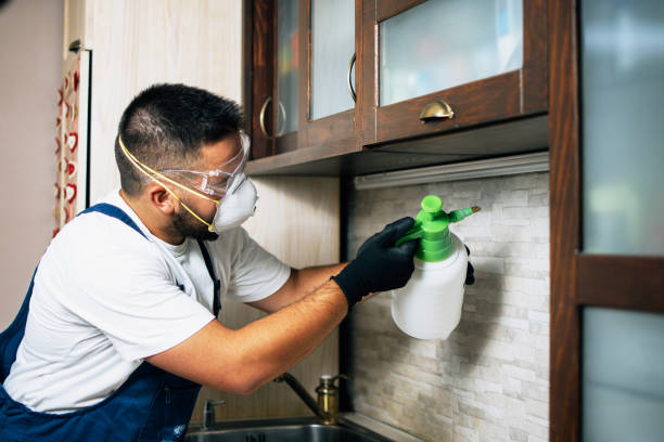 Best Exterminator Services  in Halawa, HI