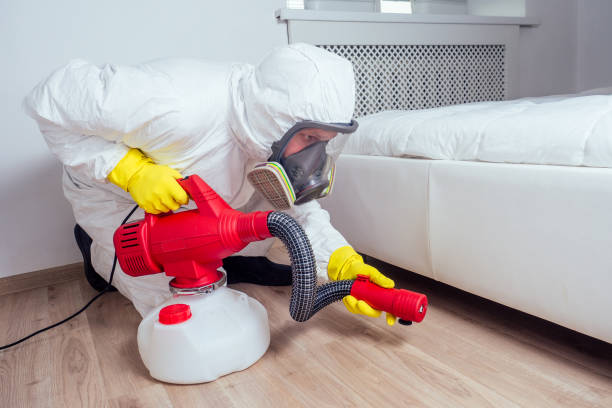 Best Pest Control Treatment  in Halawa, HI